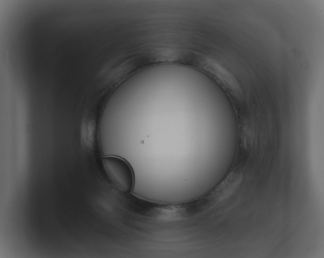 X0000100750118200806261552