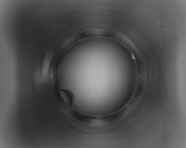 X0000100750119200806261552