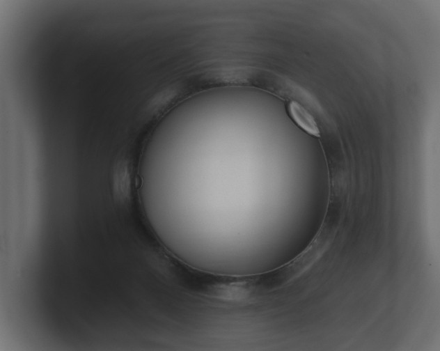 X0000100750120200806261552