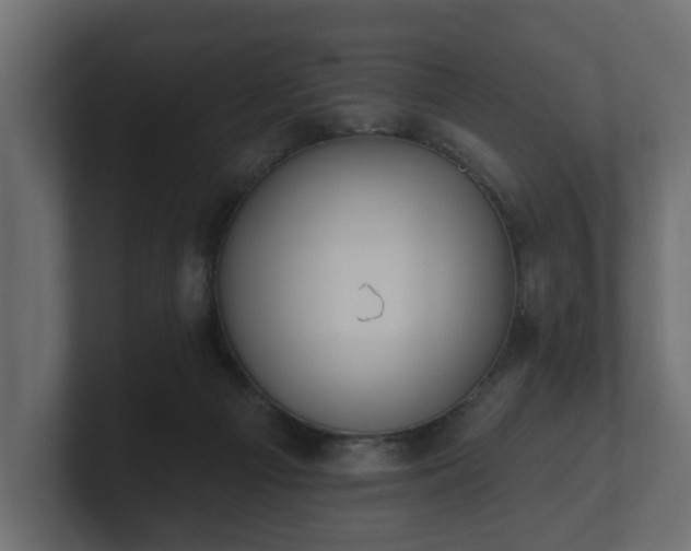 X0000100750121200806261552