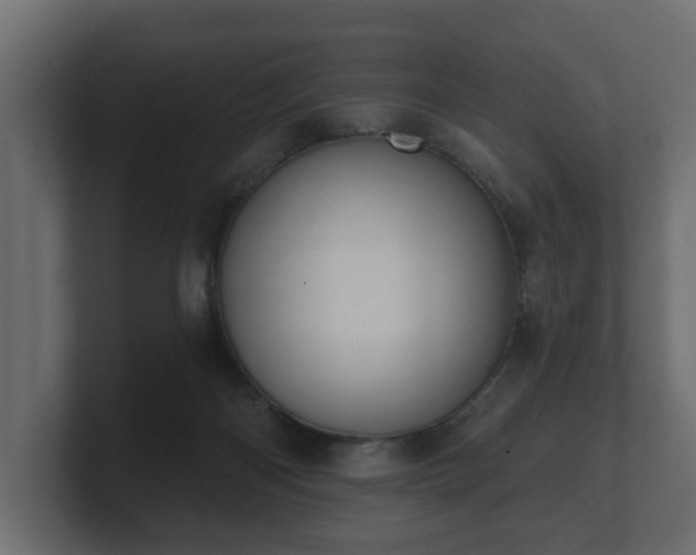 X0000100750122200806261552