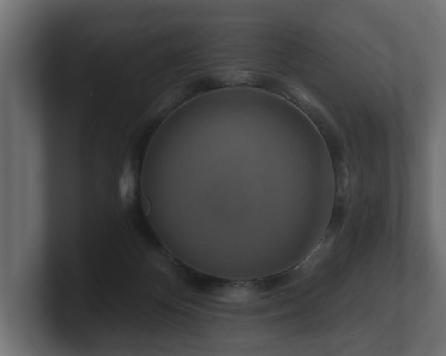 X0000100750124200806261552