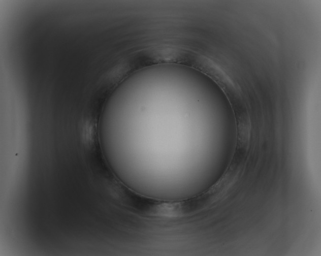 X0000100750126200806261552