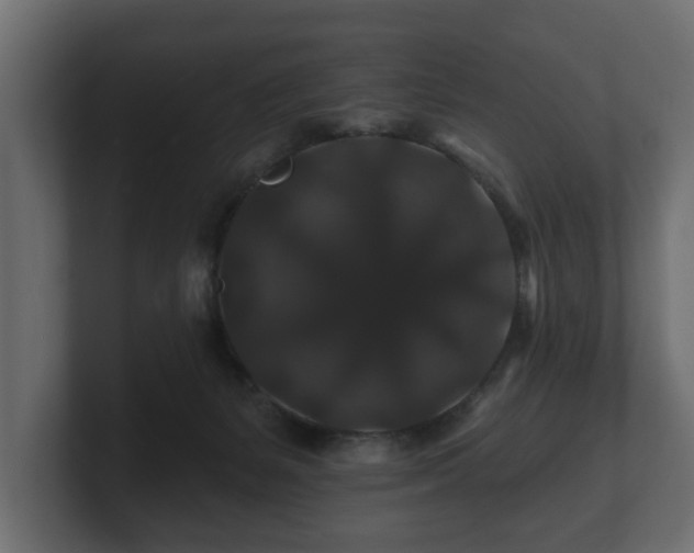 X0000100750127200806261552