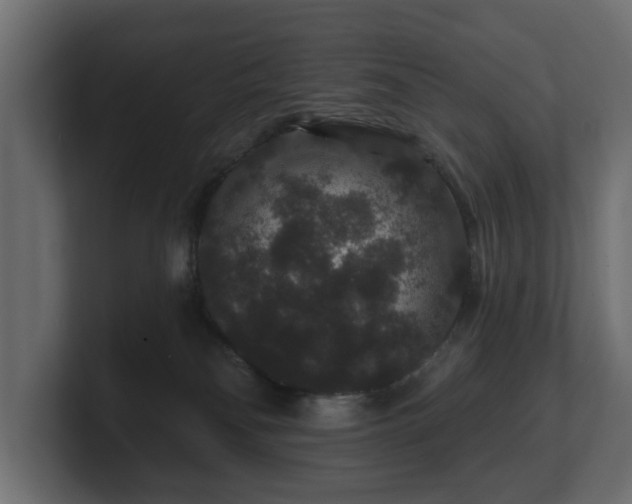 X0000100750134200806261551