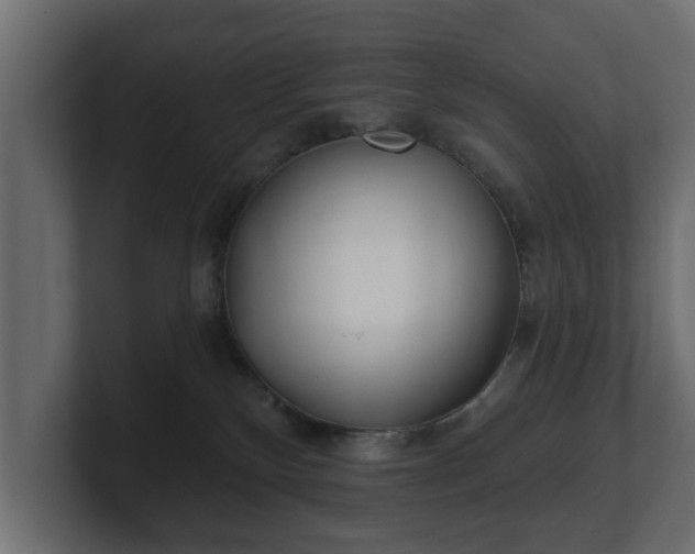 X0000100750136200806261551