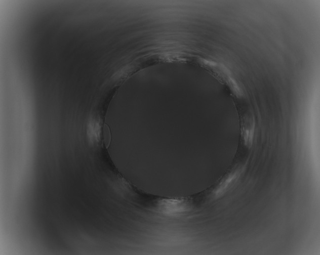 X0000100750139200806261551