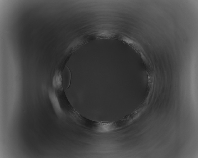 X0000100750143200806261551