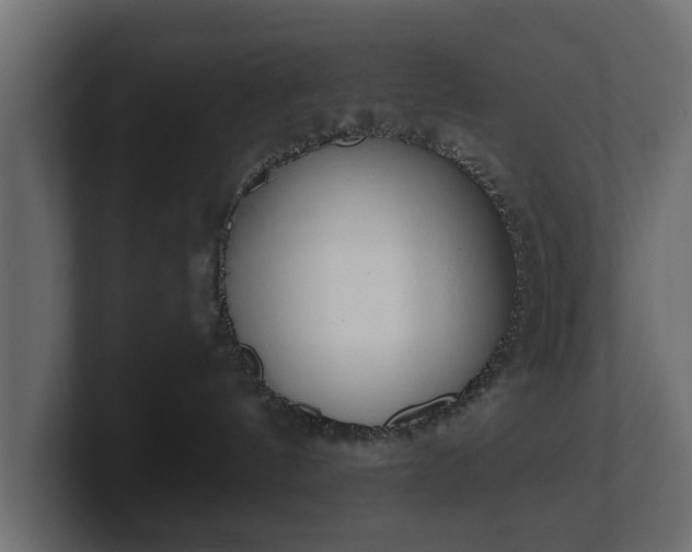 X0000100750144200806261551