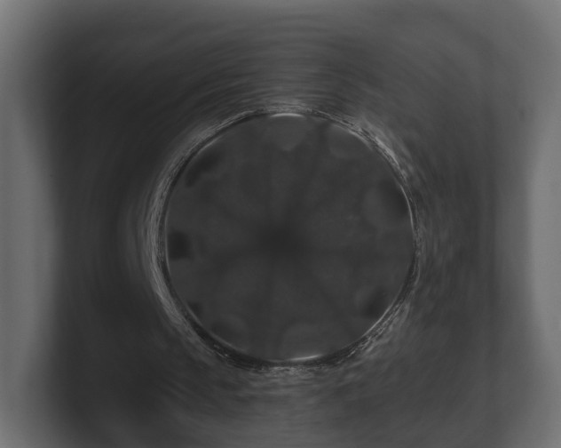 X0000100750145200806261551