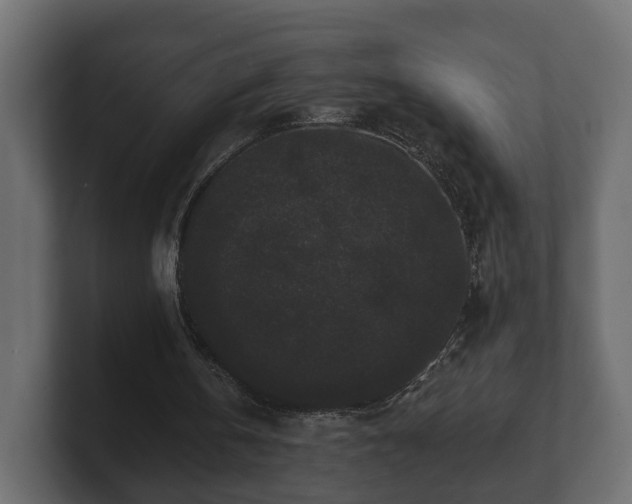 X0000100750146200806261551