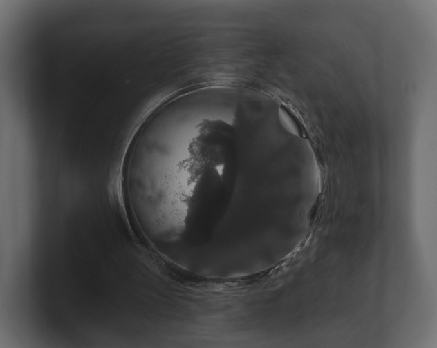 X0000100750147200806261551