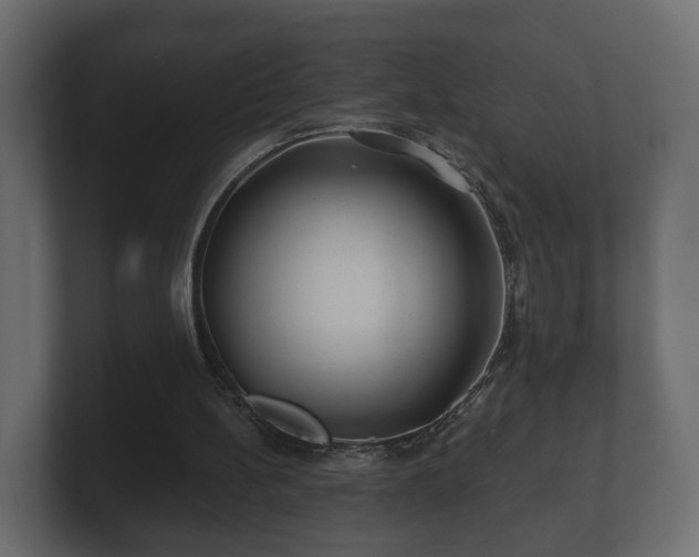 X0000100750148200806261551