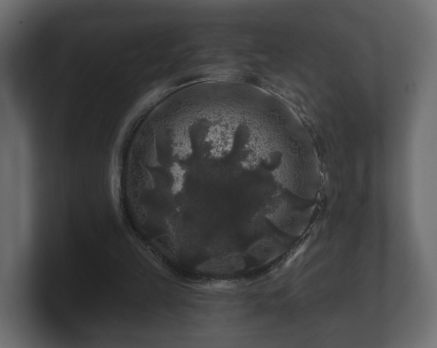 X0000100750149200806261551