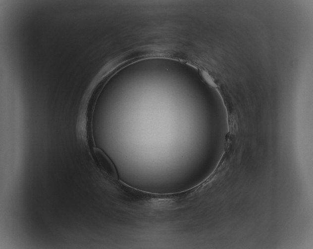 X0000100750150200806261551