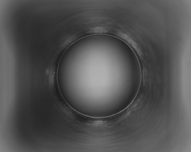 X0000100750153200806261551