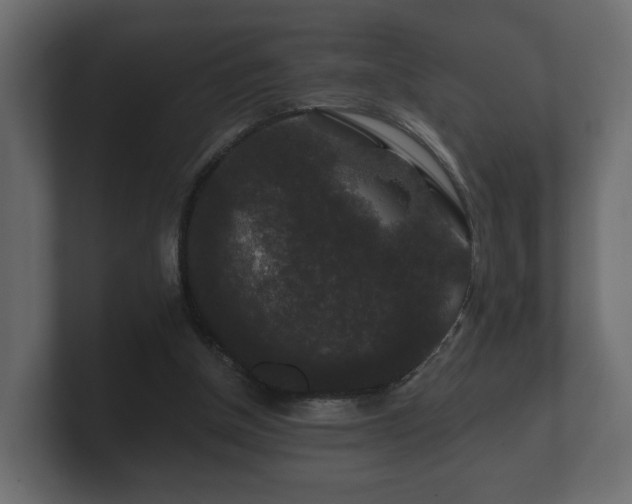 X0000100750154200806261551