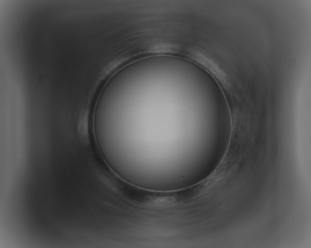 X0000100750155200806261551