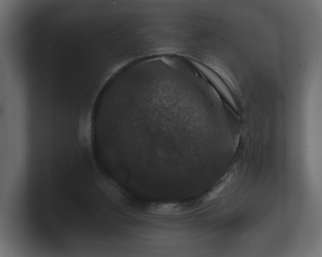 X0000100750156200806261551