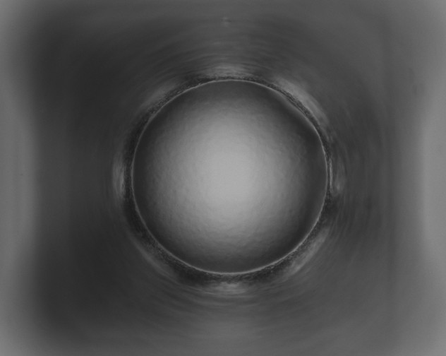 X0000100750157200806261551