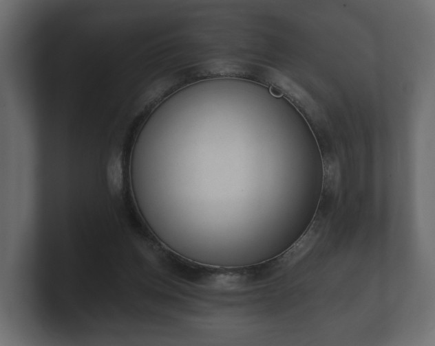 X0000100750158200806261551