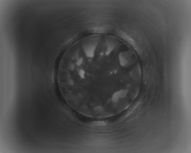 X0000100750161200806261551