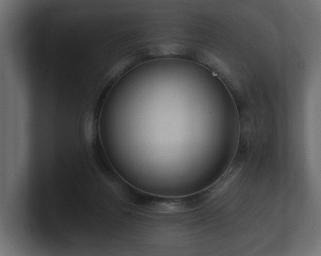 X0000100750164200806261551