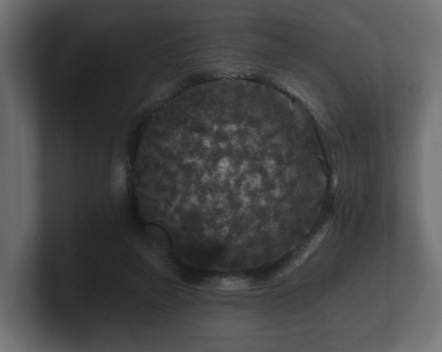 X0000100750165200806261551