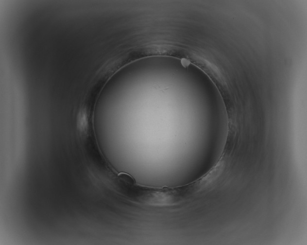 X0000100750166200806261551