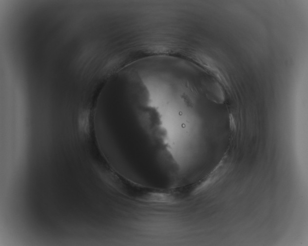 X0000100750167200806261551