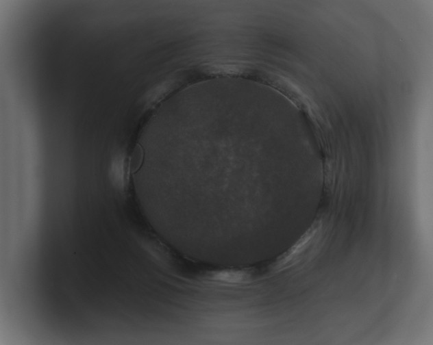 X0000100750168200806261551