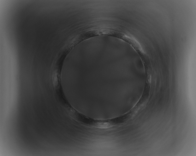 X0000100750169200806261551