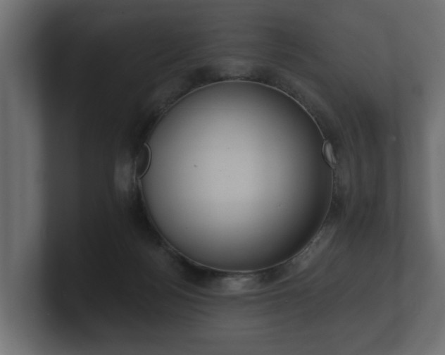 X0000100750172200806261551