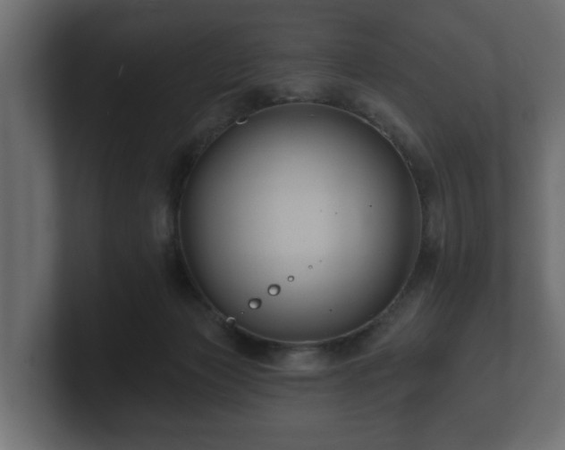 X0000100750173200806261551