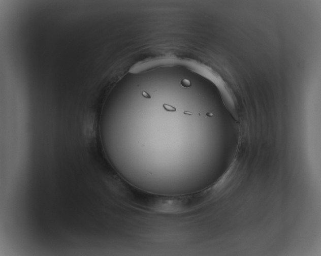 X0000100750174200806261551