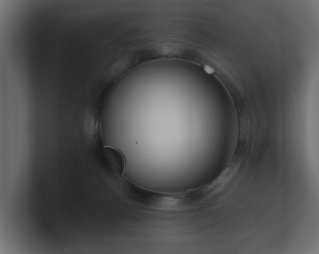 X0000100750176200806261551