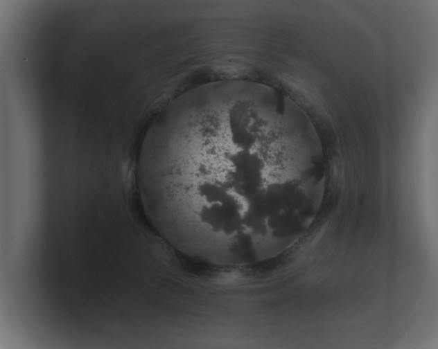 X0000100750177200806261551