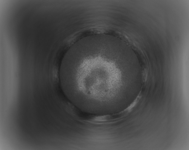 X0000100750178200806261551