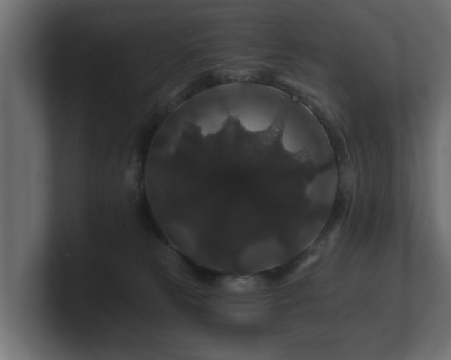 X0000100750181200806261551