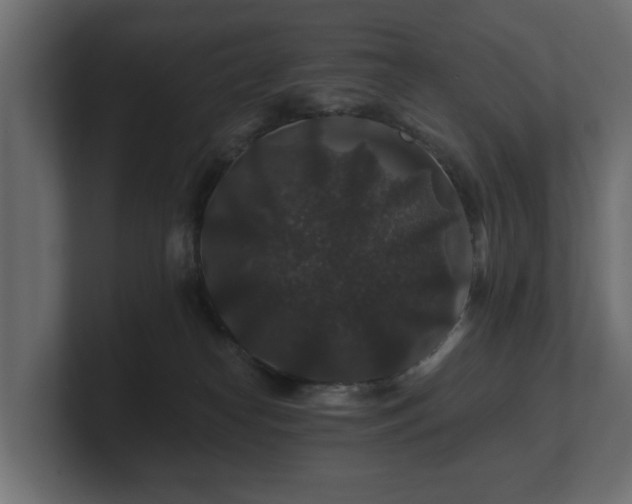 X0000100750182200806261551