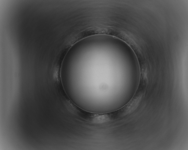 X0000100750185200806261551