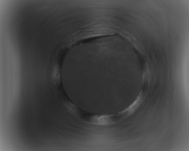 X0000100750186200806261551