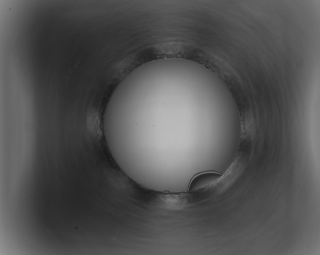 X0000100750187200806261551