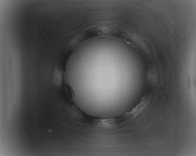 X0000100750188200806261551