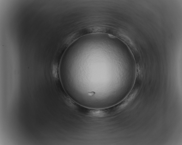 X0000100750189200806261551