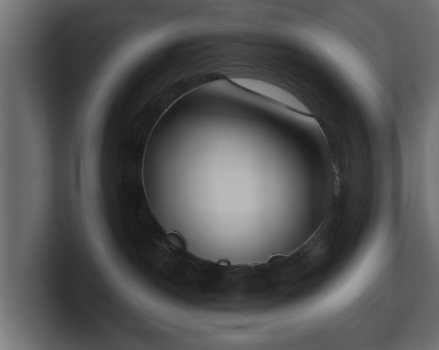 X0000100750190200806261551