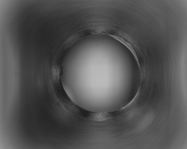 X0000100750191200806261551