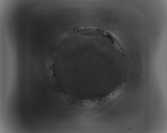 X0000100750192200806261551