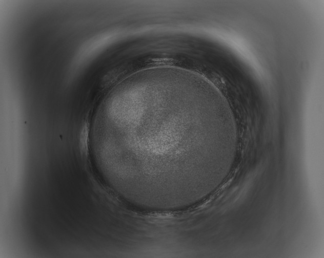 X0000100750194200806261551