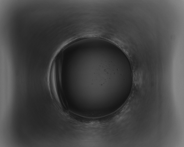 X0000100750196200806261551